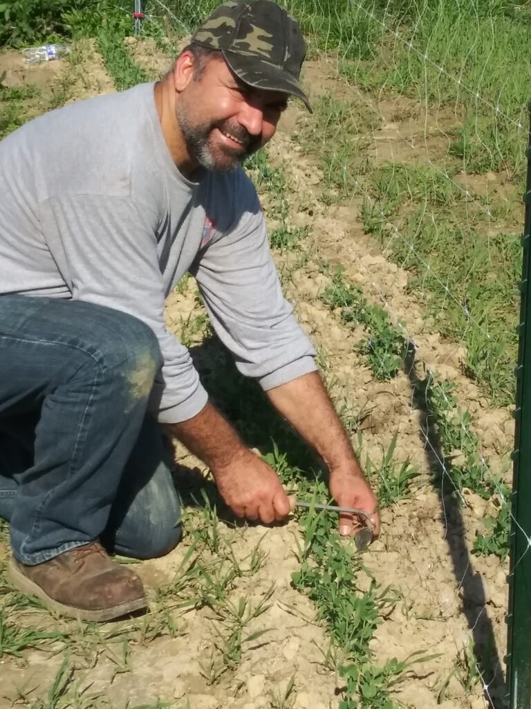 A smiling man kneeling down and planting into the ground.